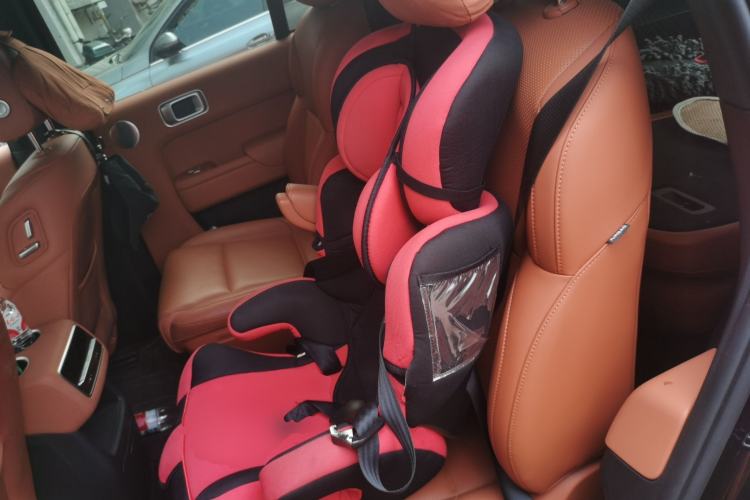 Used Li Auto L8 2023 Pro Model Left Rear Seat