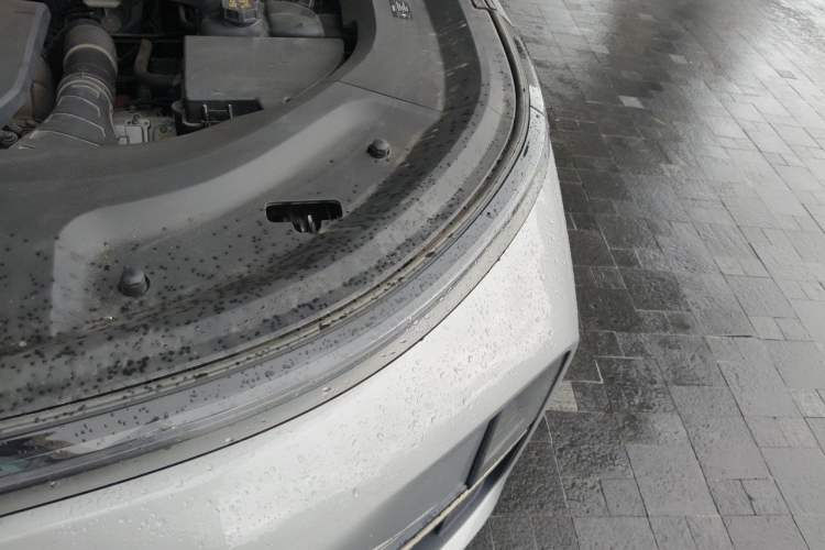 Used Li Auto L8 2023 Pro Model Engine Bay Left