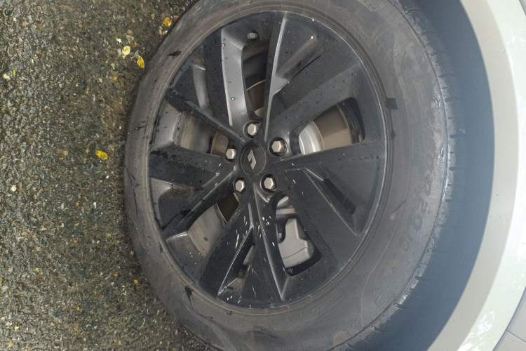 Used Li Auto L8 2023 Pro Model Exterior 1