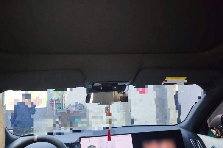 Used Li Auto L8 2023 Pro Model Headliner