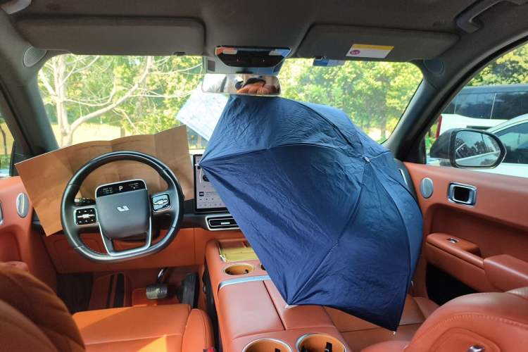 Used Li Auto L8 2023 Pro Model Headliner