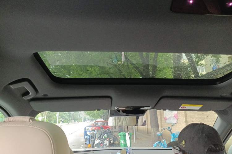 Used Li Auto L8 2023 Pro Model Headliner