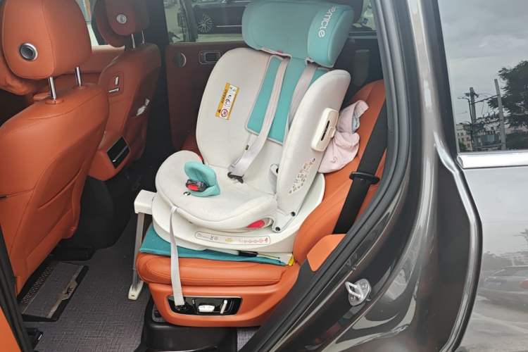 Used Li Auto L8 2023 Pro Model Left Rear Seat
