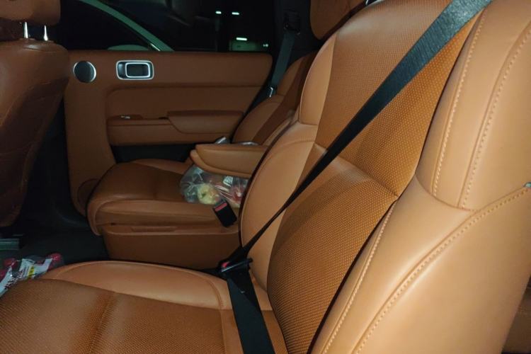 Used Li Auto L8 2023 Pro Model Left Rear Seat
