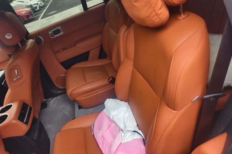 Used Li Auto L8 2023 Pro Model Left Rear Seat