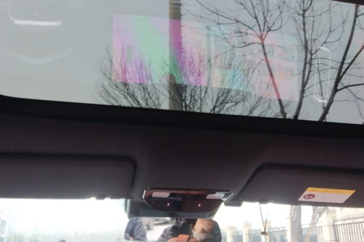 Used Li Auto L8 2023 Pro Model Headliner