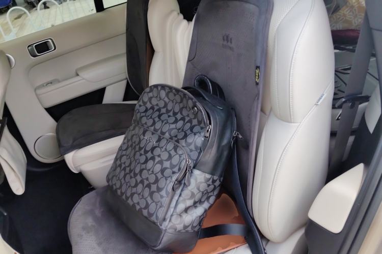 Used Li Auto L8 2023 Pro Model Left Rear Seat