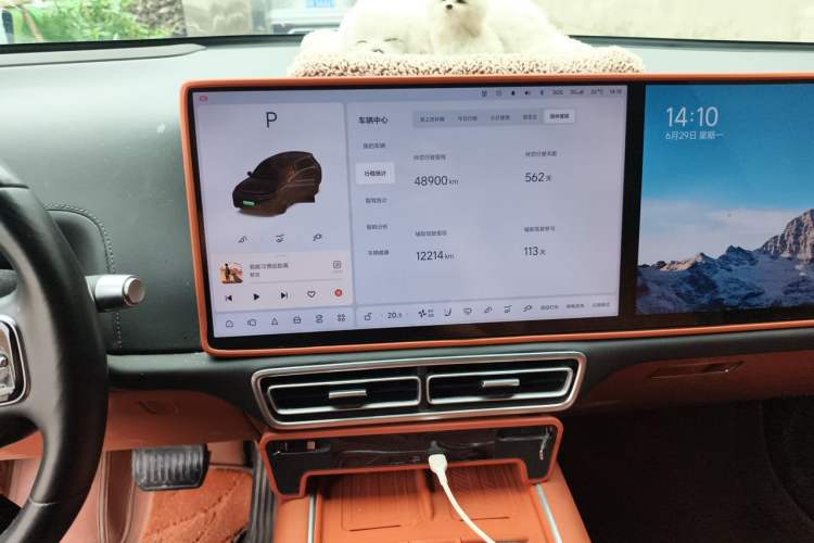 Used Li Auto L8 2024 Max Audio And AC Panel
