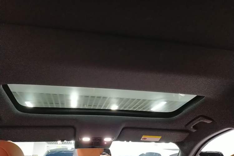 Used Li Auto L8 2024 Pro Model Headliner
