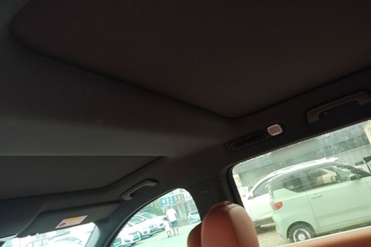 Used Li Auto L8 2024 Pro Model Headliner