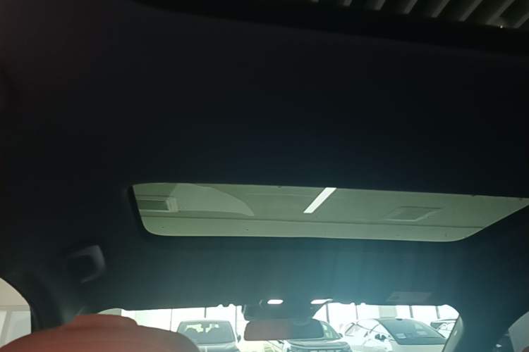 Used Li Auto L8 2024 Pro Model Headliner