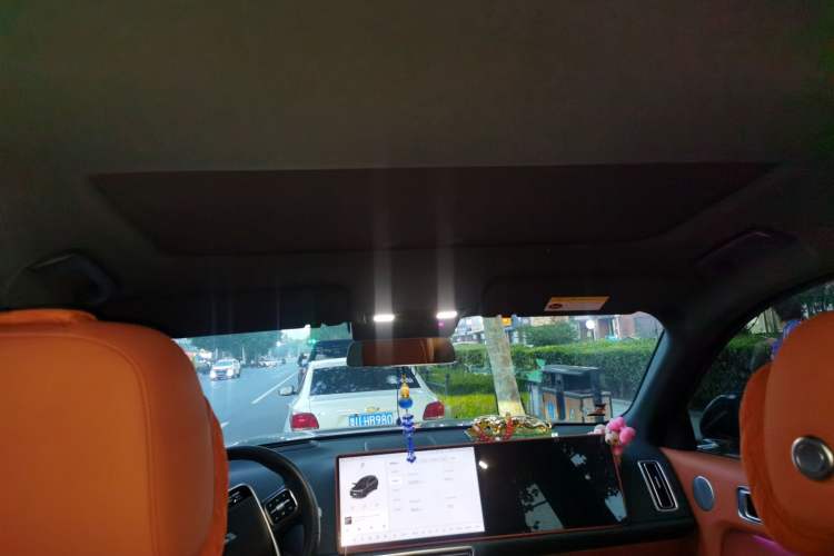 Used Li Auto L8 2024 Pro Model Headliner