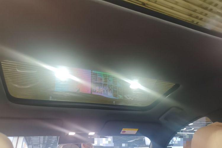 Used Li Auto L8 2024 Pro Model Headliner