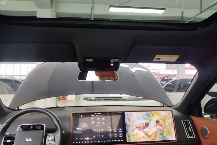 Used Li Auto L8 2024 Pro Model Headliner