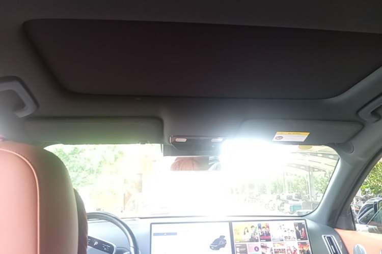 Used Li Auto L8 2024 Pro Model Headliner