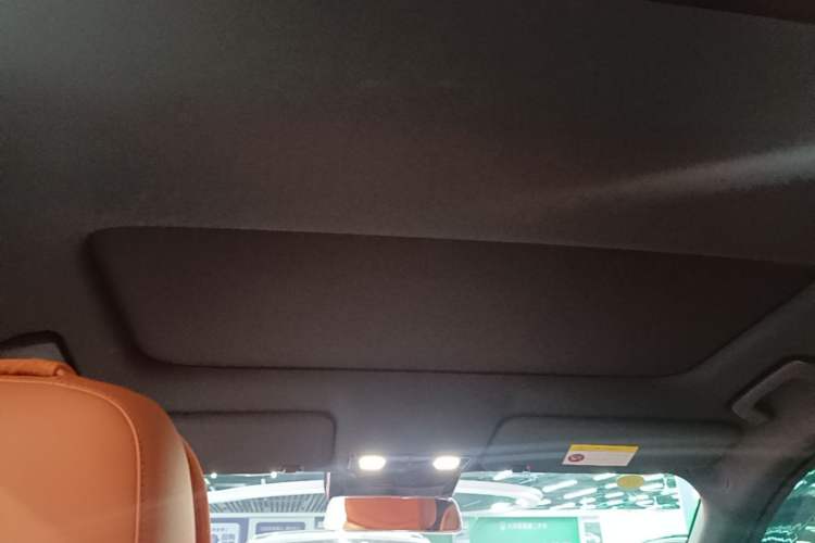 Used Li Auto L8 2024 Max Headliner