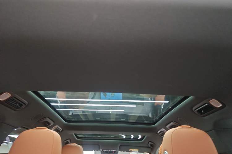Used Li Auto L8 2024 Pro Model Headliner