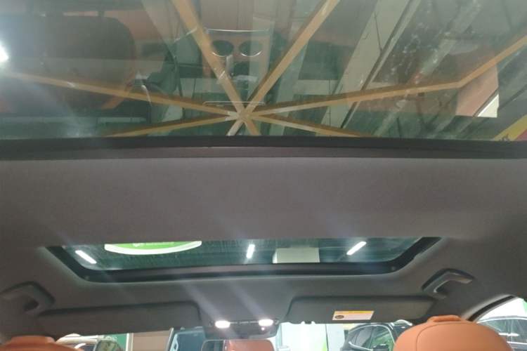 Used Li Auto L8 2024 Pro Model Headliner