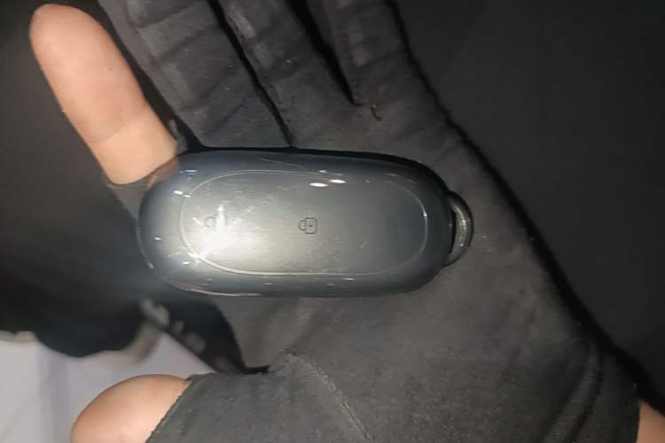 Used Li Auto L8 2024 Max Interior 1