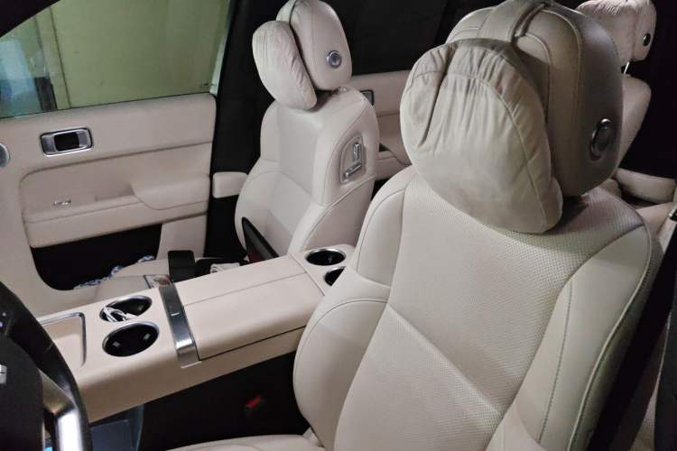 Used Li Auto L8 2024 Max Left Front Seat