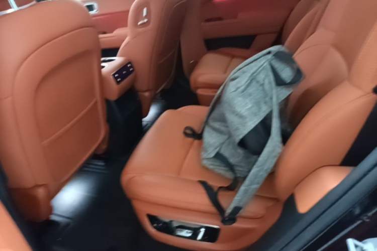 Used Li Auto L8 2024 Pro Model Left Rear Seat