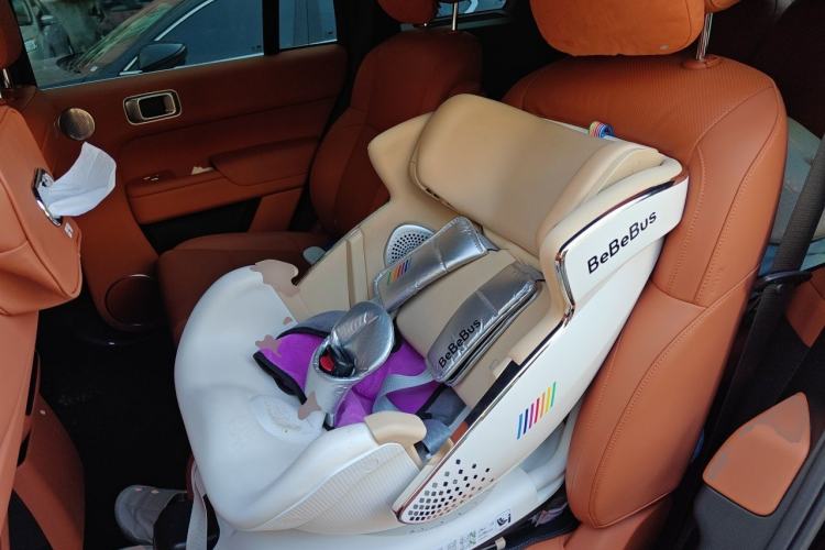 Used Li Auto L8 2024 Max Left Rear Seat