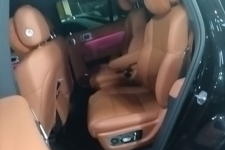 Used Li Auto L8 2024 Max Left Rear Seat