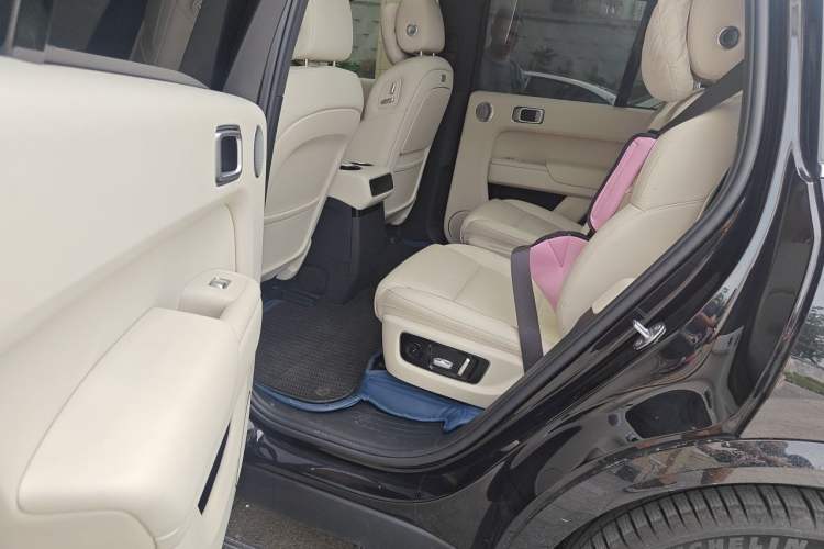 Used Li Auto L8 2024 Max Left Rear Seat