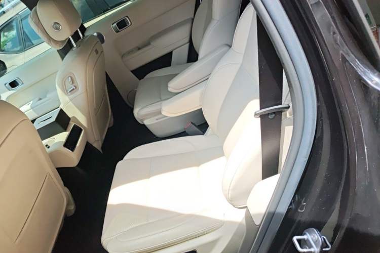Used Li Auto L8 2024 Pro Model Left Rear Seat