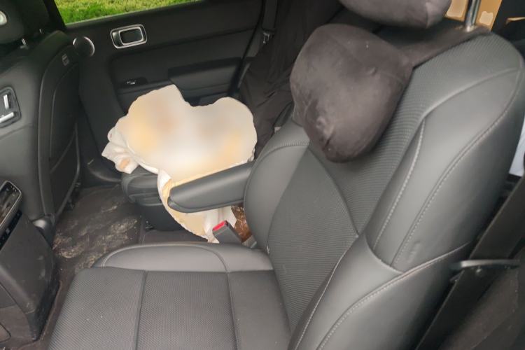 Used Li Auto L8 2024 Max Left Rear Seat