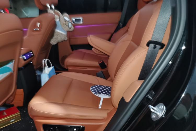 Used Li Auto L8  Left Rear Seat