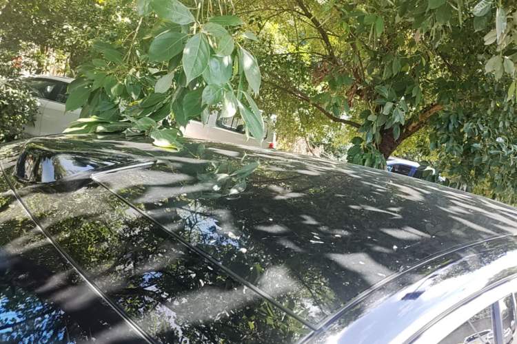 Used Li Auto L8 2024 Max Roof