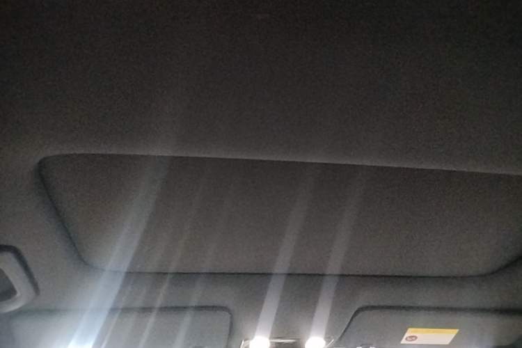 Used Li Auto L8 2024 Max Headliner