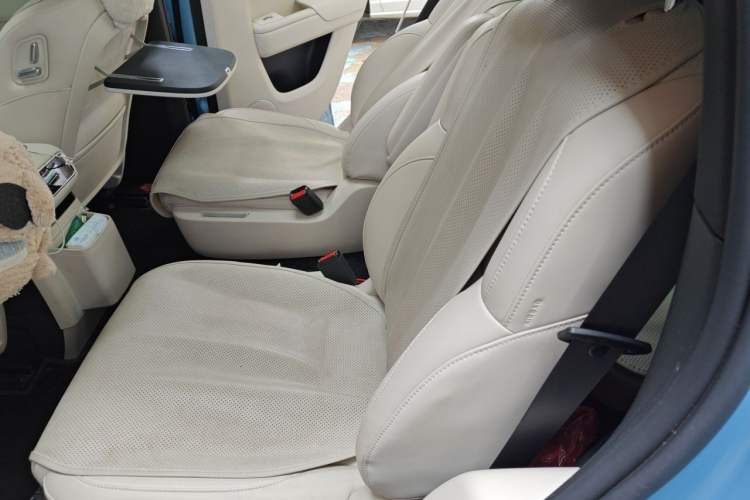 Used Li Auto L8 2024 Ultra Model Left Rear Seat