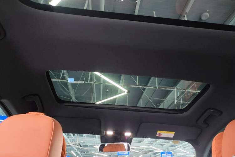Used Li Auto L8 2024 Pro Model Headliner