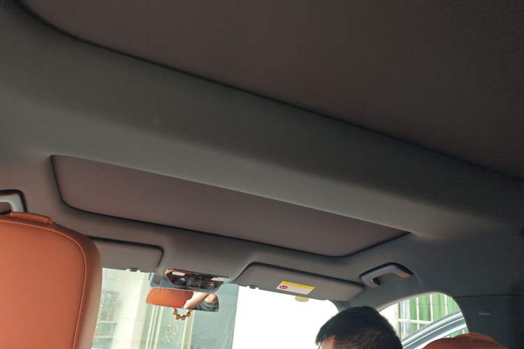 Used Li Auto L8 2024 Max Headliner