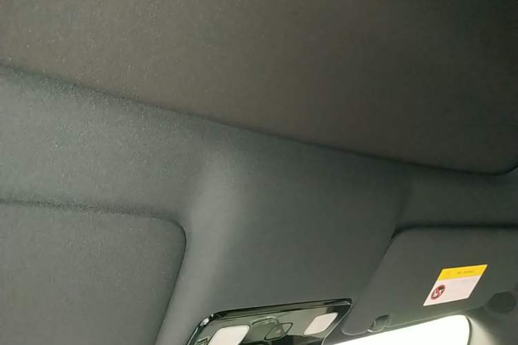 Used Li Auto L8 2024 Pro Model Headliner