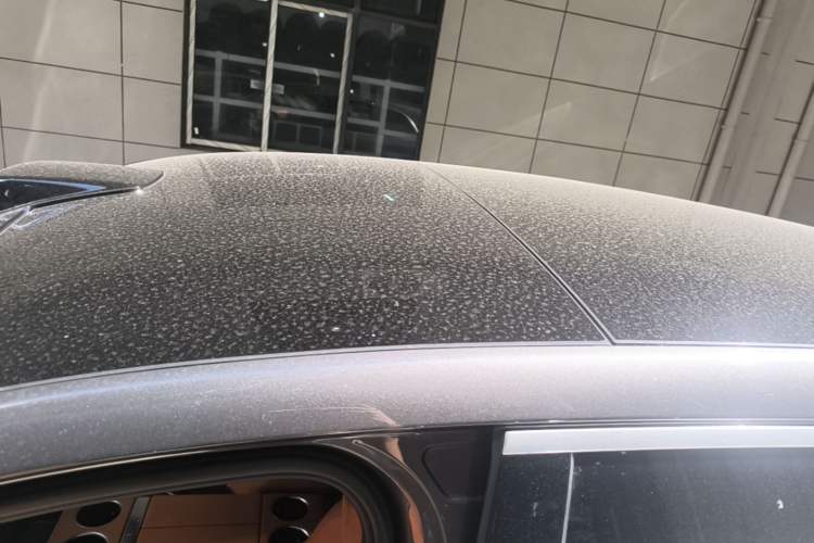 Used Li Auto L8 2024 Max Roof