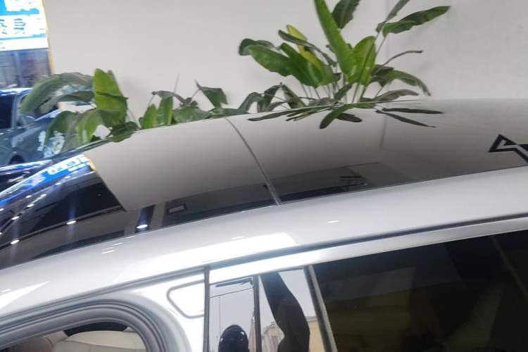 Used Li Auto L8 2024 Max Roof