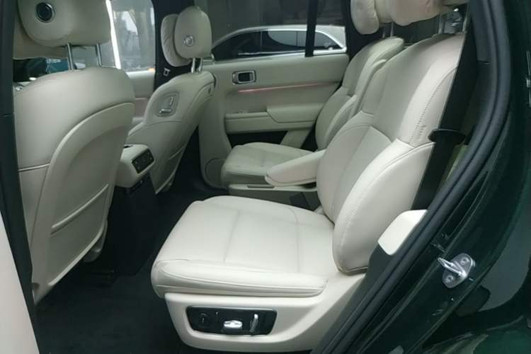 Used Li Auto L8 2024 Ultra Model Left Rear Seat
