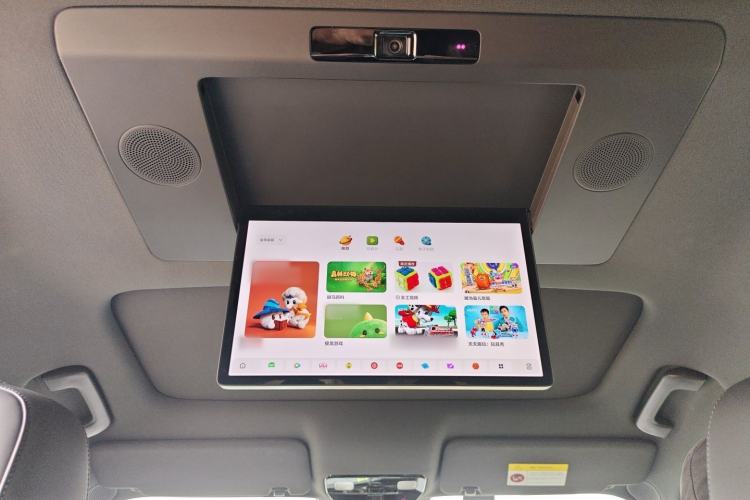 Used Li Auto L8 2024 Ultra Model Headliner