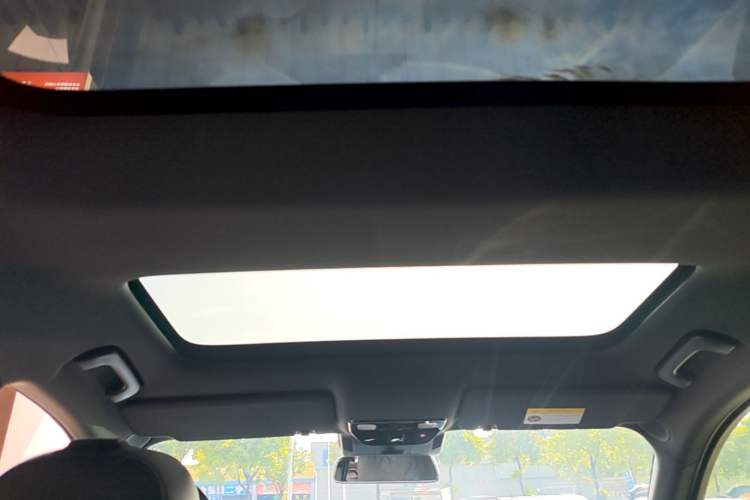 Used Li Auto L8 2024 Pro Model Headliner