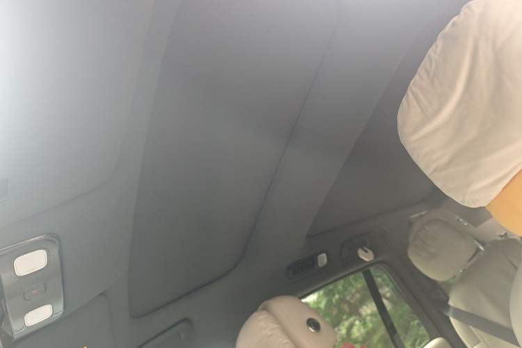 Used Li Auto L8 2024 Max Headliner