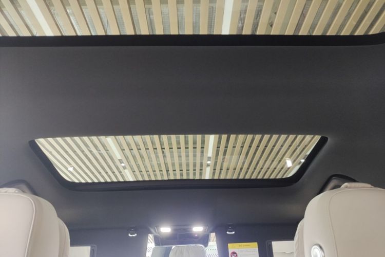 Used Li Auto L8 2024 Max Headliner