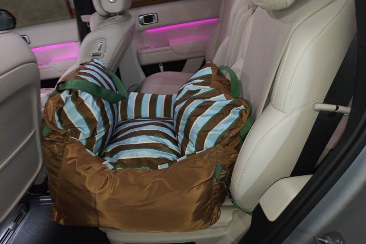 Used Li Auto L8 2024 Max Interior 4