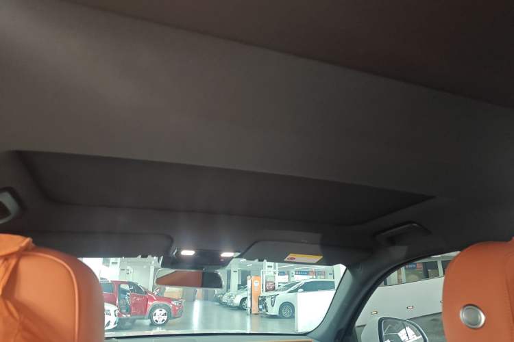 Used Li Auto L8 2024 Max Headliner