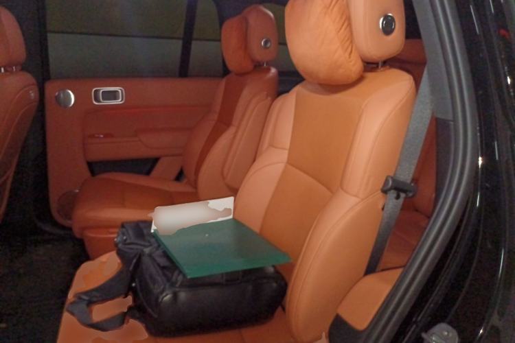 Used Li Auto L8 2025 Pro Smart Refresh Edition Left Rear Seat