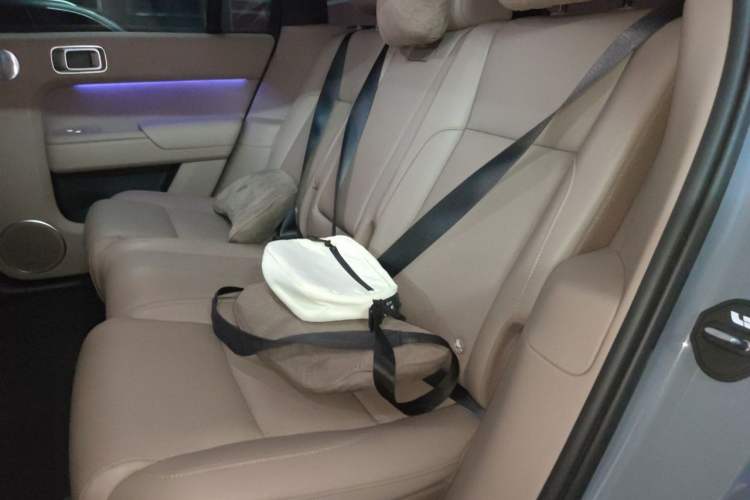Used Li Auto L8 2025 Ultra Smart Refreshed Edition Left Rear Seat
