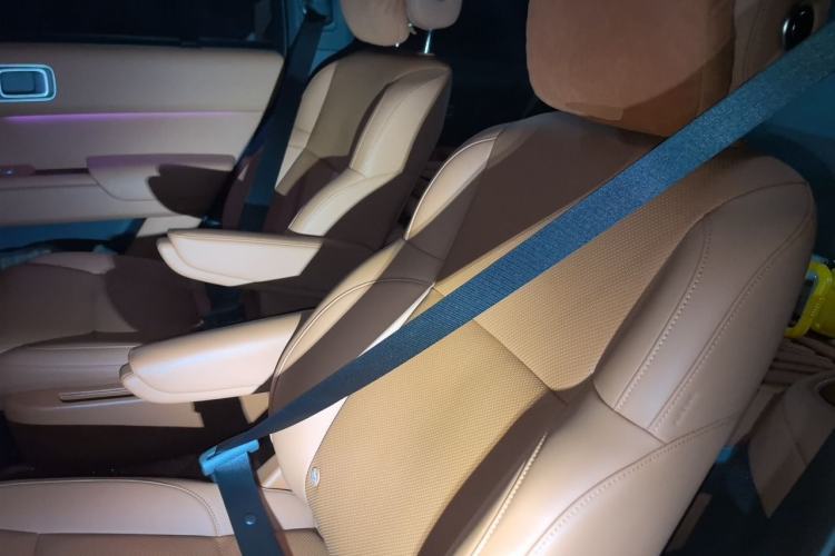 Used Li Auto L8 2025 Max Smart Refresh Edition Left Rear Seat