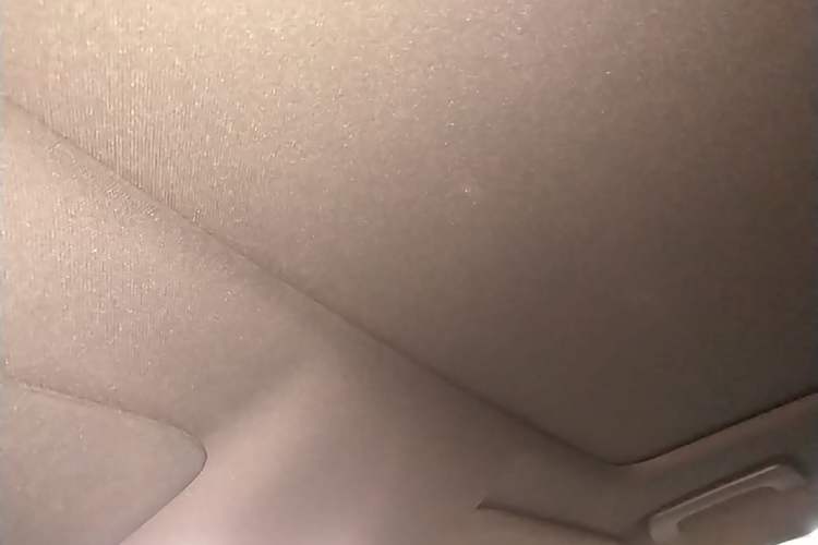 Used Li Auto L8 2025 Ultra Smart Refreshed Edition Headliner